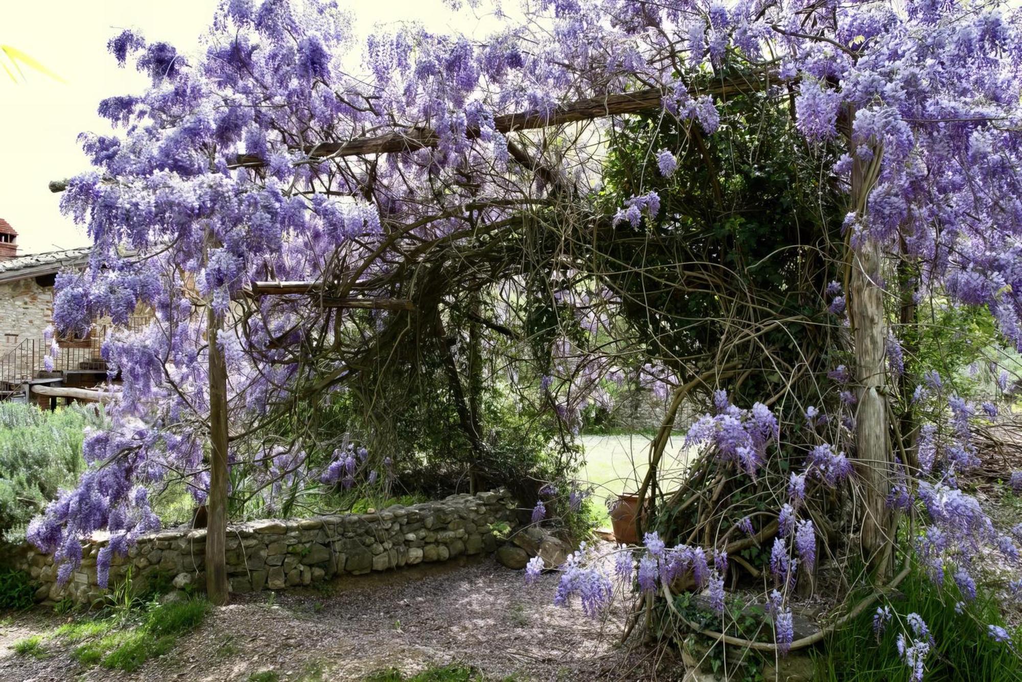 Mercatale Val Di PesaMolino In Chianti别墅 外观 照片